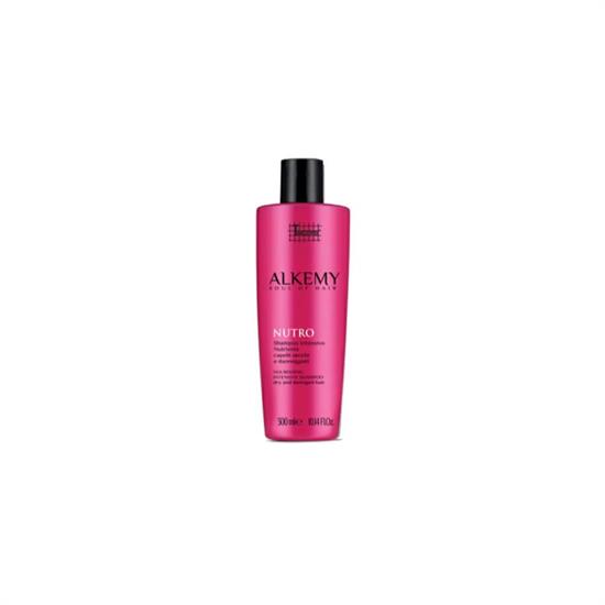 TECHNIQUE ALKEMY NUTRO SHAMPOO NUTRIENTE CAPELLI SECCHI
