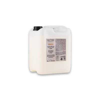 ENVIE BALSAMO ALLE ERBE 5LT