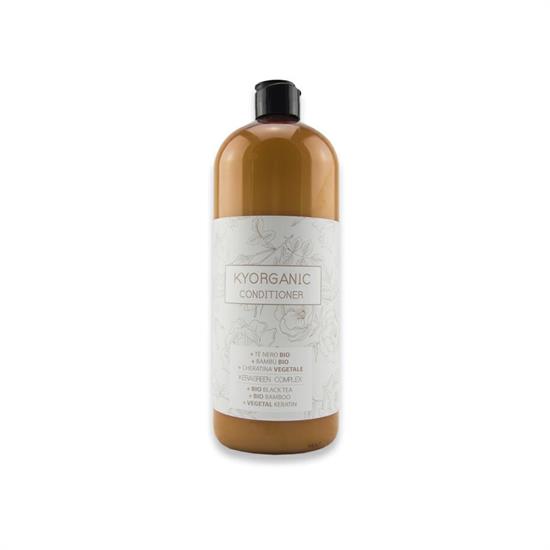 KYORGANIC CONDITIONER SOSTANTIVANTE RIEQUILIBRANTE