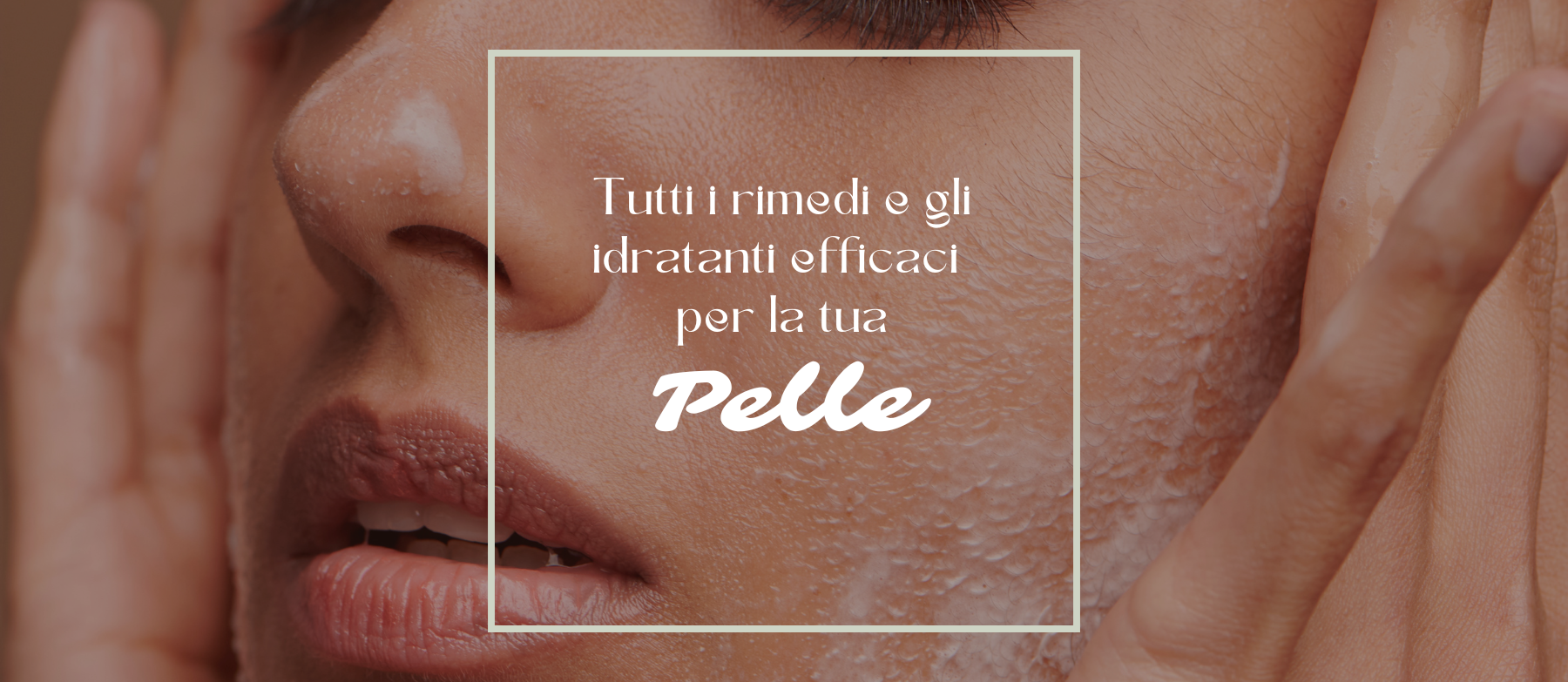 pelle-1800-x-783-px